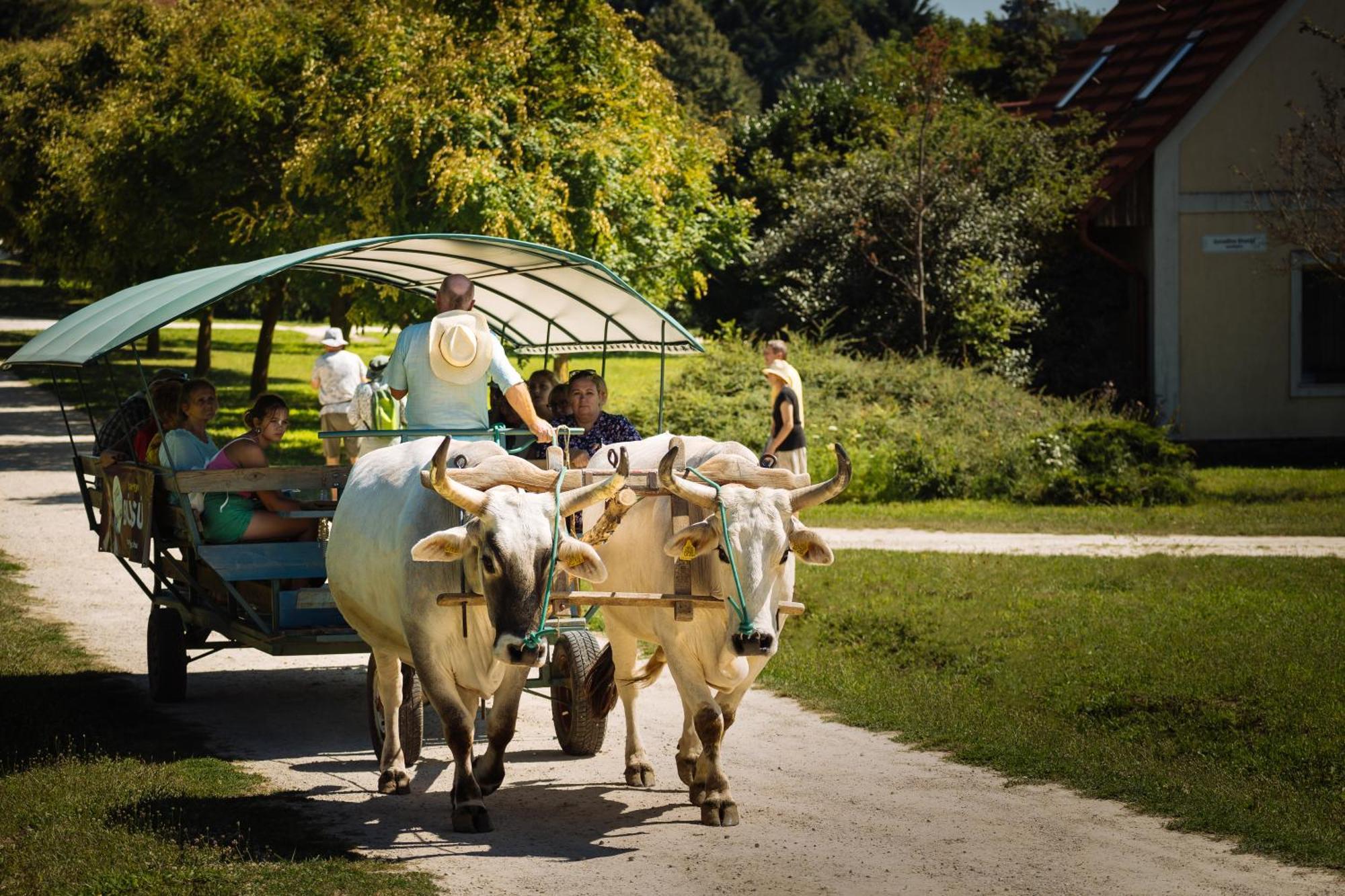 Gurudeva Bhavan – Eco Village Somogyvámos Exteriör bild